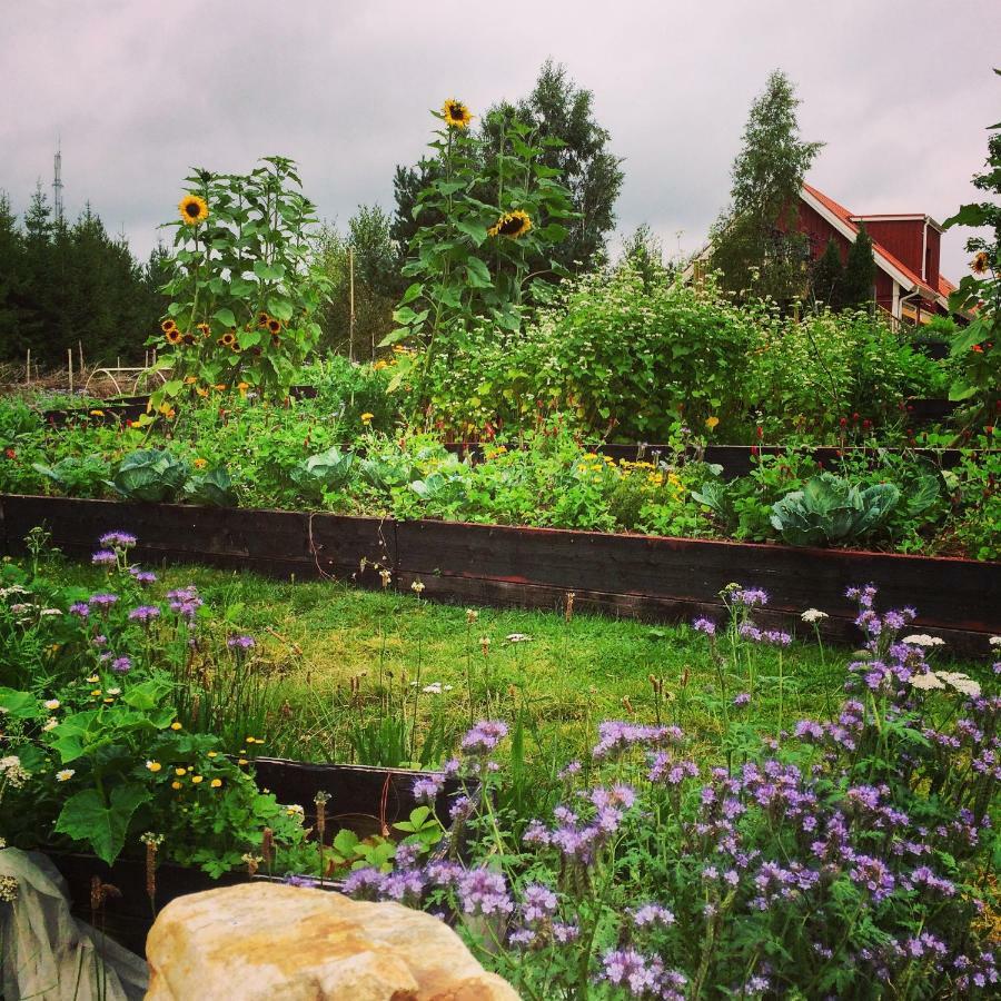 Escape To Paulssonpaleo Acomodação com café da manhã Simlångsdalen Exterior foto